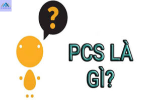 PCS là gì? PCS thường được sử dụng trong những lĩnh vực nào?